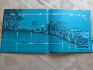 Schule Buch Teich Expedition, ab 7 Jahre Bild 3