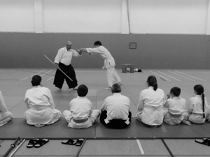 Selbstverteidigung Aikido