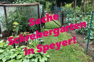 Suche Schrebergarten