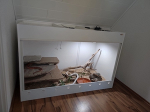 Kunststoffterrarium 