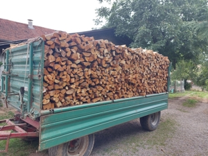 Brennholz 1 m, Feuerholz Bild 1