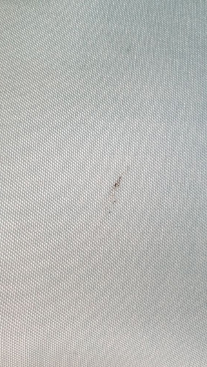 Gardinen, Gradient weiß-hellblau Bild 4