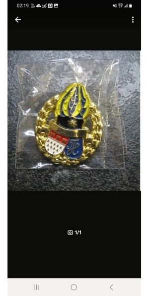 Pin von den Treuen Husaren e.V. Köln von der Sesion 2014/2015