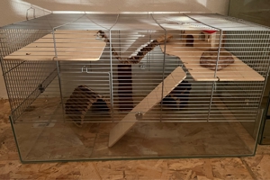 Hamster   Nager Käfig Bild 3