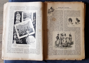 "Die Gartenlaube" Illustriertes Familienblatt ursp. geb. Ausgabe 1891 Bild 6