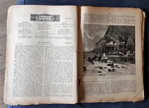 "Die Gartenlaube" Illustriertes Familienblatt ursp. geb. Ausgabe 1891 Bild 12