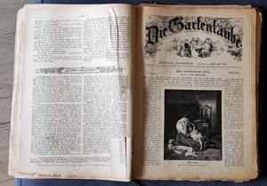 "Die Gartenlaube" Illustriertes Familienblatt ursp. geb. Ausgabe 1891 Bild 7