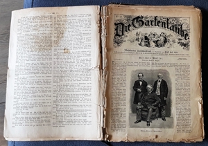 "Die Gartenlaube" Illustriertes Familienblatt ursp. geb. Ausgabe 1891 Bild 2