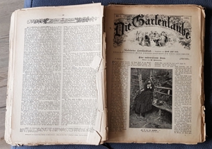 "Die Gartenlaube" Illustriertes Familienblatt ursp. geb. Ausgabe 1891 Bild 14