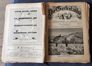 "Die Gartenlaube" Illustriertes Familienblatt ursp. geb. Ausgabe 1891 Bild 13