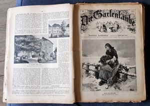 "Die Gartenlaube" Illustriertes Familienblatt ursp. geb. Ausgabe 1891 Bild 4