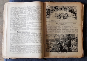 "Die Gartenlaube" Illustriertes Familienblatt ursp. geb. Ausgabe 1891 Bild 11