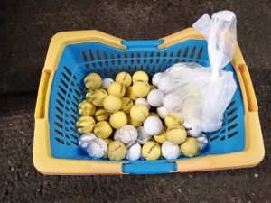 Golf Bälle gebraucht 60 Stück 20,-