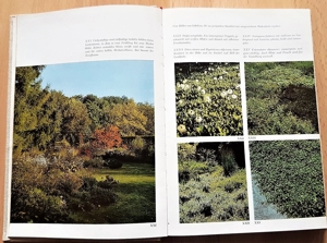 "Laub und Nadelgehölze für Garten und Landschaft" Buch 1976 Bild 5