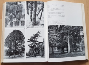"Laub und Nadelgehölze für Garten und Landschaft" Buch 1976 Bild 3