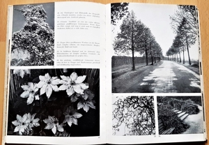 "Laub und Nadelgehölze für Garten und Landschaft" Buch 1976 Bild 6