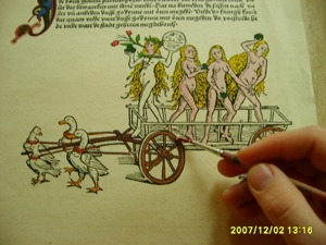 Stammbaum - Stammtafel und Urkunden Bild 6