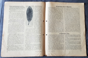 3 Zeitschriften "Erfurter Führer im Obst- und Gartenbau", Nr: 39, 40 & 42, 1936 Bild 4