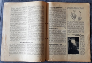 3 Zeitschriften "Erfurter Führer im Obst- und Gartenbau", Nr: 39, 40 & 42, 1936 Bild 8