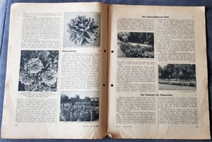 3 Zeitschriften "Erfurter Führer im Obst- und Gartenbau", Nr: 39, 40 & 42, 1936 Bild 5