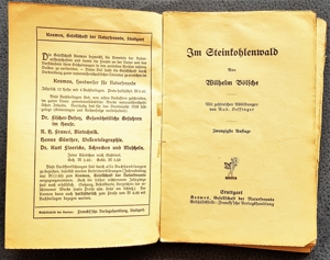 Taschenbuch "Im Steinkohlewald" von W. Bölsche, ca. 1920 Bild 2