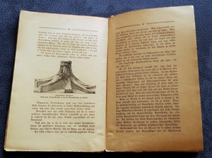 Taschenbuch "Im Steinkohlewald" von W. Bölsche, ca. 1920 Bild 4