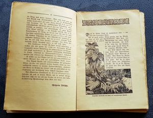 Taschenbuch "Im Steinkohlewald" von W. Bölsche, ca. 1920 Bild 3