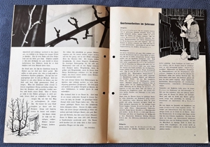 1 Zeitschrift "Neueste Nettoline Nachrichten", Nr: 2, 1936 Bild 3