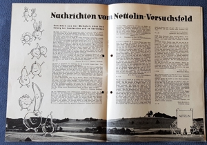 1 Zeitschrift "Neueste Nettoline Nachrichten", Nr: 2, 1936 Bild 4