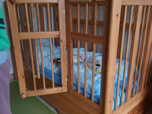 Pflegebett mit hohen Gitter Bild 1