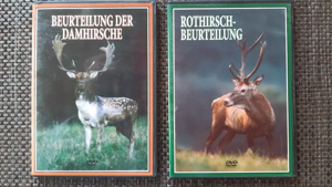 Hirsche Jagd DVDs