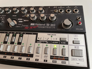 Roland TB-303 THE BEAST Rarity Bild 2