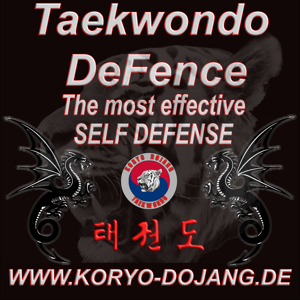 Wir machen Kinder Stark! Taekwondo DeFence  FFB Bild 2