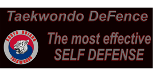 Taekwondo DeFence - Selbstverteidigung  Streetfight FFB Bild 5