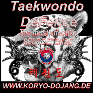 Taekwondo DeFence - Selbstverteidigung  FFB Bild 2