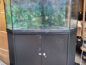 Juwel Delta Eckaquarium 150 l mit Unterschrank, dicht