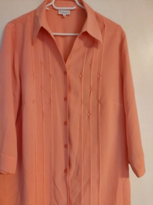 Damen Bluse orange Bild 2