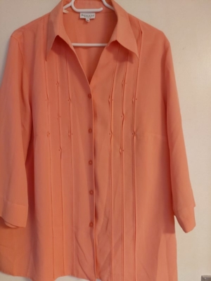 Damen Bluse orange