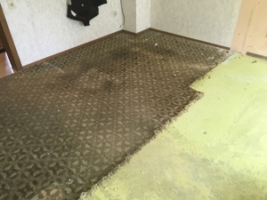 Haushaltsauflösung Nürnberg  Bild 8