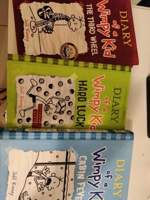 3 Bücher zusammen - Diary of a Wimpy Kid (3 books) / Greg's Tagebuch in Englisch