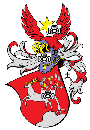 AUSSTELLUNG Heraldik und MA Buchmalerei für Ihr Stadt- u Burgfest Bild 12