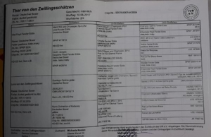 Deckrüde Boxer Bild 6