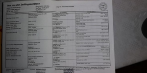 Deckrüde Boxer Bild 5