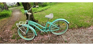 Electra Bike original Fahrrad aus den Staaten Bild 4