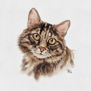 Besonderheit: Katzenportraits; Tierportraits ab Foto im Miniformat Bild 1