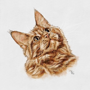 Besonderheit: Katzenportraits; Tierportraits ab Foto im Miniformat Bild 4