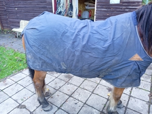 Lösdau Stalldecke in 125 cm Bild 2