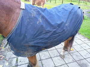 Busse Stalldecke in 125 cm Bild 2