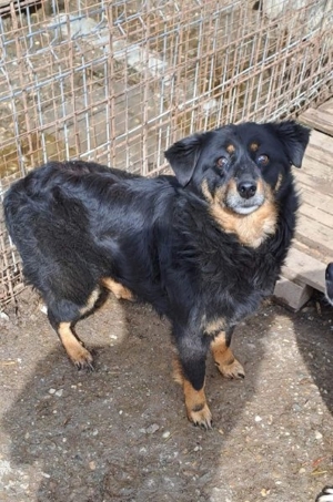 Omi Nora wünscht sich ein Zuhause 