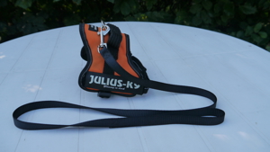 Hundegeschirr Julius K9 mini mini Gr. XS orange + Hundeleine - B
